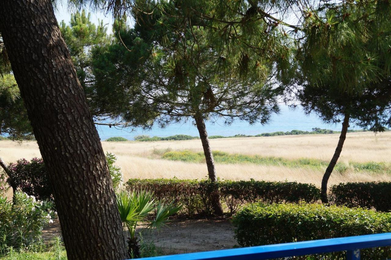 Kipriotis Hotel Arkoudi Pokoj fotografie