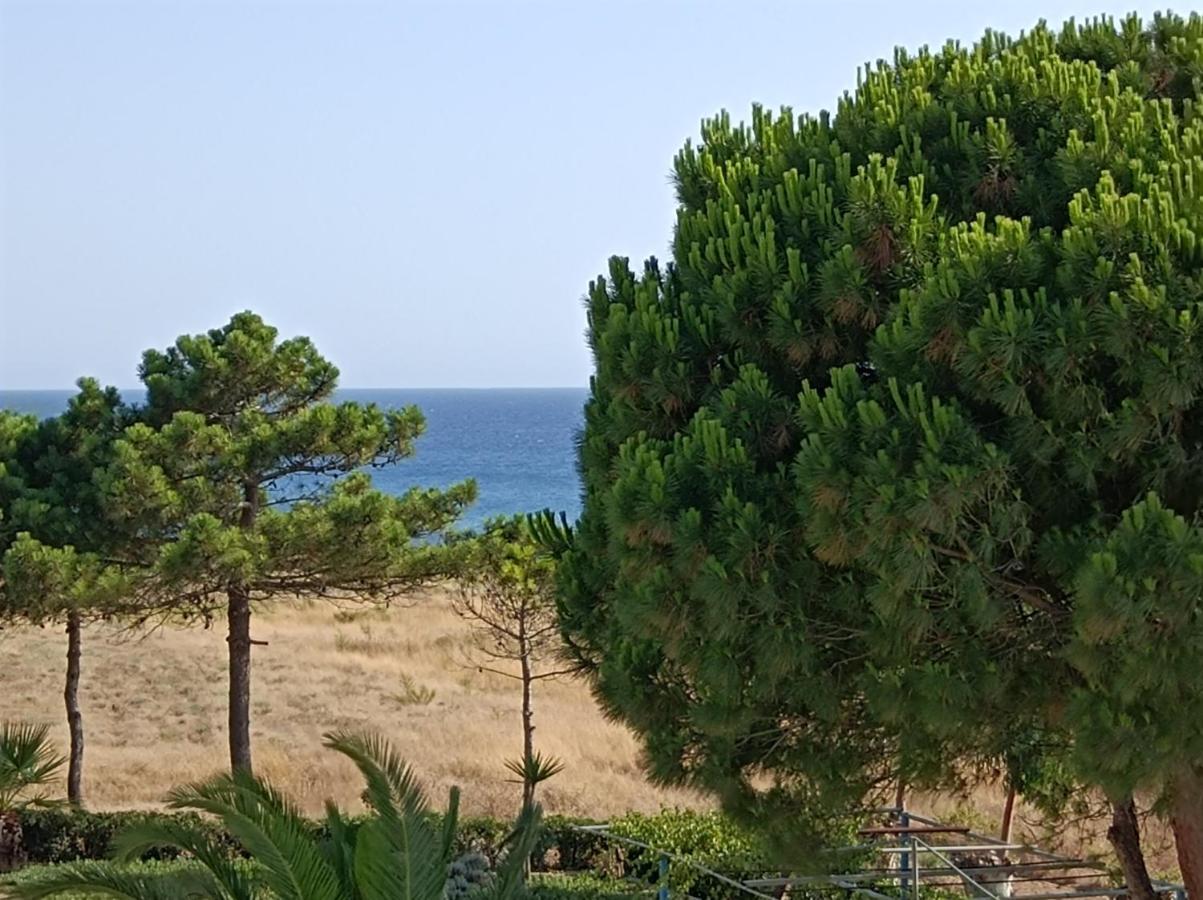 Kipriotis Hotel Arkoudi Exteriér fotografie